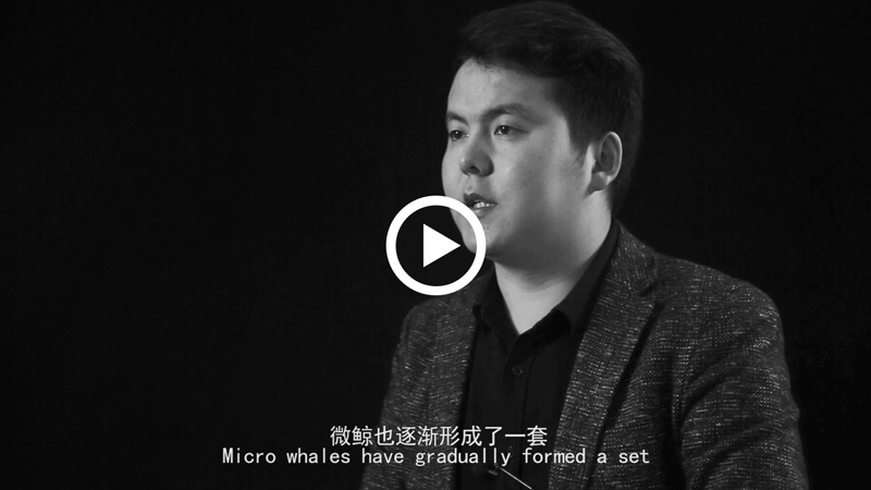 微鲸创服企业宣传片