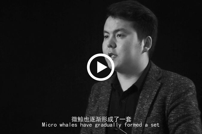 微鲸创服企业宣传片 - 为好项目提供好服务