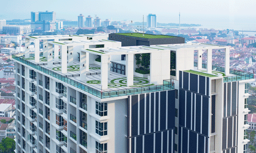 微鲸创服每年服务10家优质企业