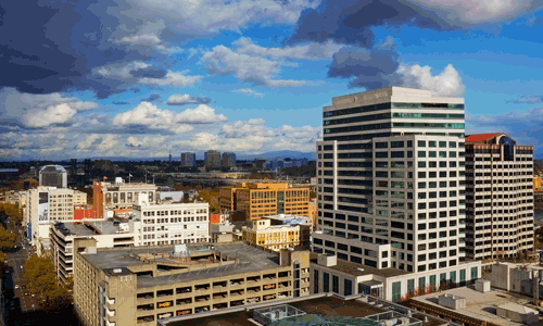 微鲸创服每年服务1000家企业加入鲸创汇